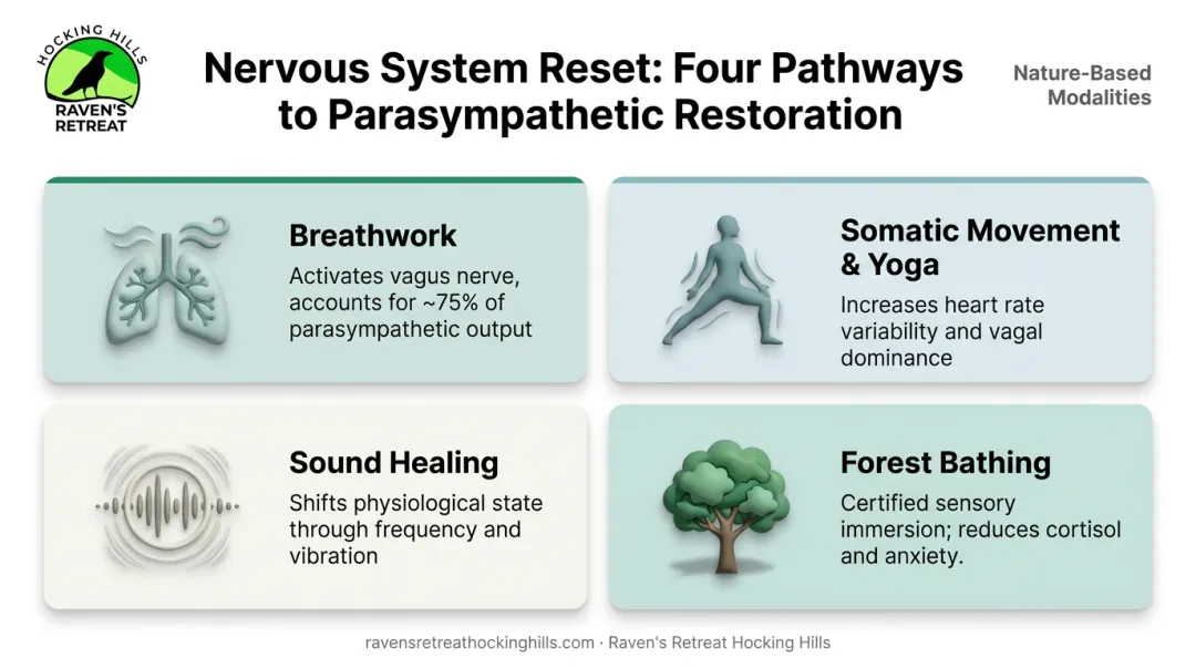 Four nervous system reset modalities breathwork somatic movement sound healing forest bathing mechanisms
