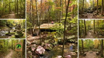 Private wellness trail through forested preserve with forest meditation area at Raven's Retreat