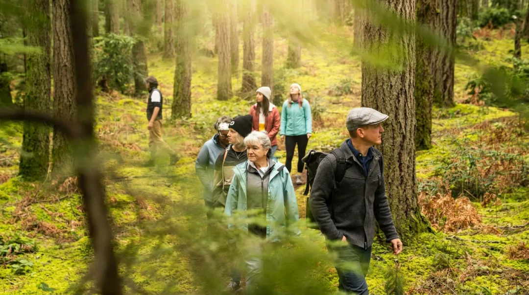 Executive leaders walking mindfully through peaceful forest during corporate retreat