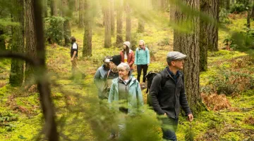 Executive leaders walking mindfully through peaceful forest during corporate retreat