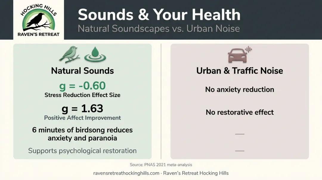 Natural versus urban soundscape effects on stress anxiety and well-being comparison infographic