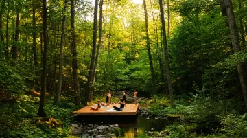 Forest retreat venue with outdoor yoga platform surrounded by natural woodland setting