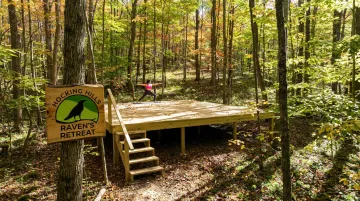 Elevated forest yoga platform set among oak and maple tree canopy