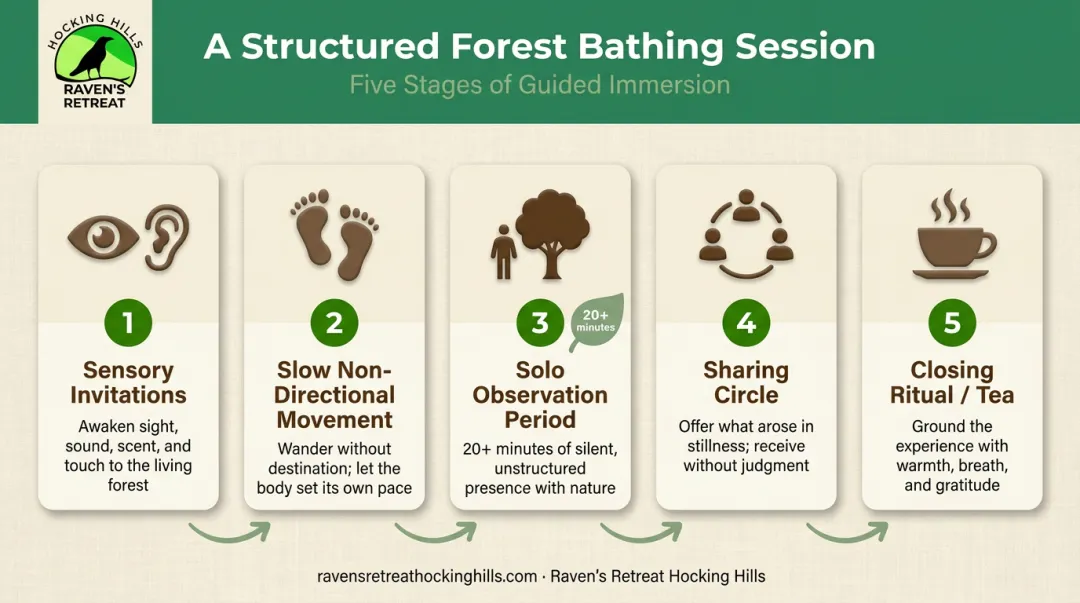 5-element shinrin-yoku forest bathing session structure process flow
