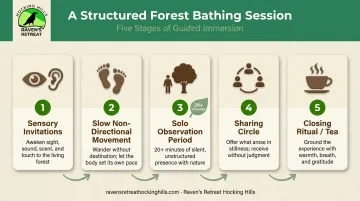 5-element shinrin-yoku forest bathing session structure process flow