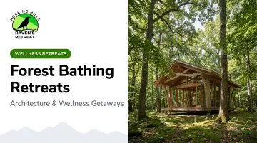 Forest Bathing Retreats: Architecture &amp; Wellness Getaways