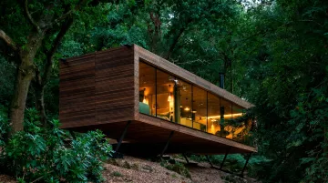 Elevated forest cabin with floor-to-ceiling glass windows surrounded by dense woodland