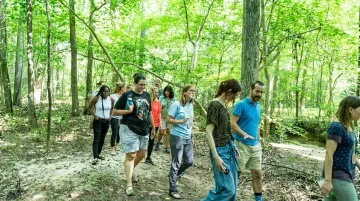 Corporate group hiking through lush forest trail during outdoor wellness retreat