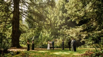Forest arboretum wedding ceremony site with old-growth tree canopy and naturalistic woodland setting