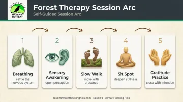 Forest therapy full session arc five-stage sequence from breathing to gratitude