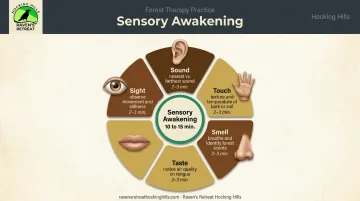 5-sense sensory awakening practice guide for forest therapy sessions