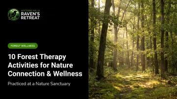 10 Forest Therapy Activities for Nature Connection & Wellness