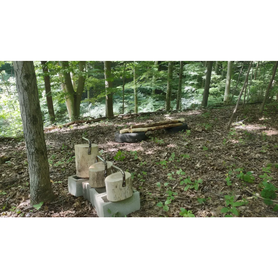 Team planning activities at a nature retreat