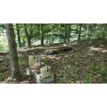 Team planning activities at a nature retreat