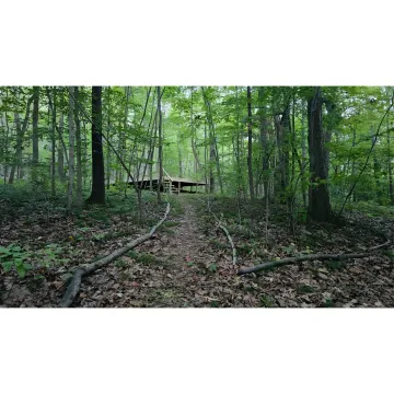 Retreat planning session in a nature lodge