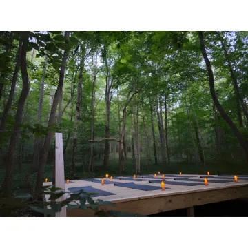 Forest Sound Bath & Meditation Experience