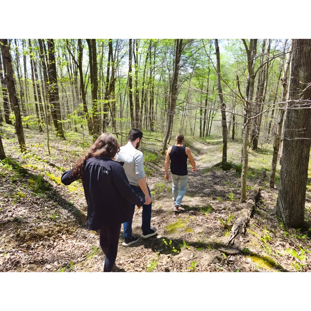 Guide leading a forest bathing session