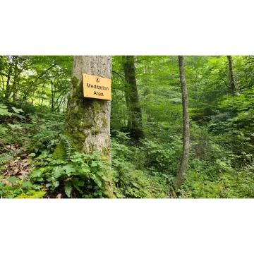 Guest walking quietly through a forest retreat path
