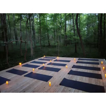 Guests preparing for a forest sound bath session