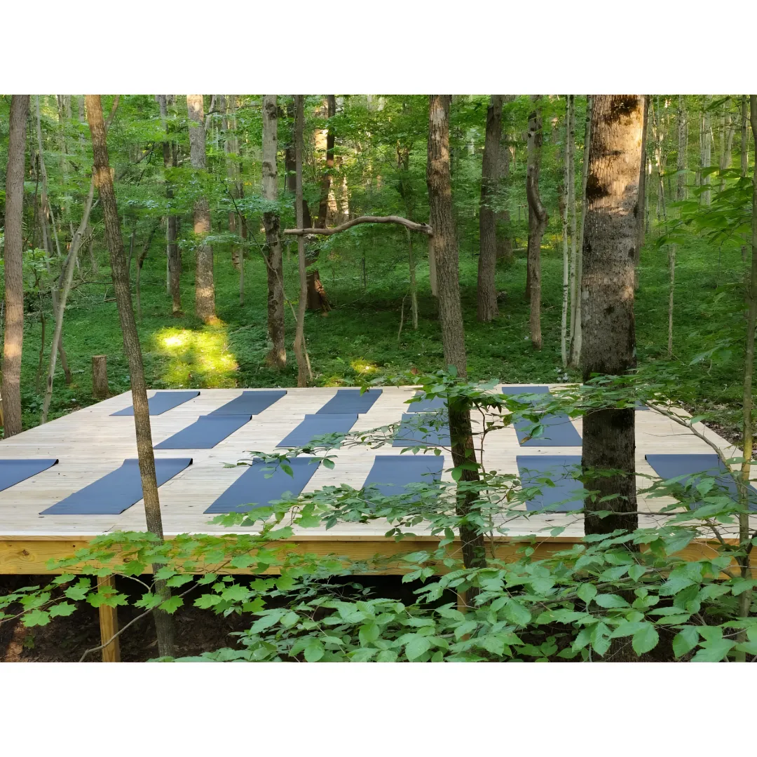 Art-filled retreat lodge with wellness amenities