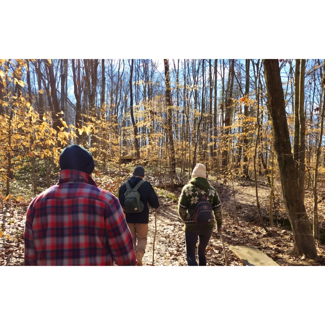 Guided retreat planning in a nature lodge