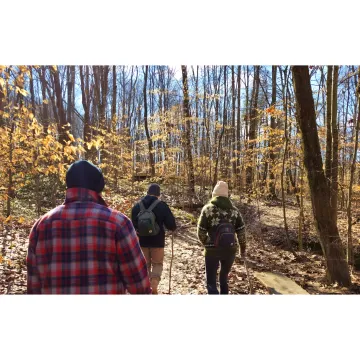 Guided retreat planning in a nature lodge