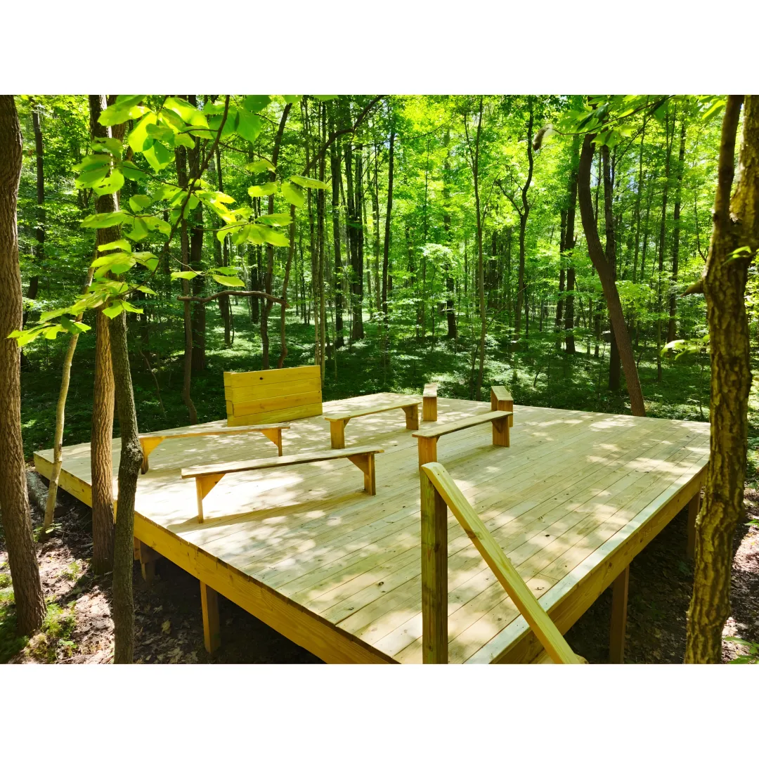 Guided breathwork process in a nature retreat setting