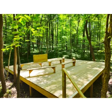 Guided breathwork process in a nature retreat setting