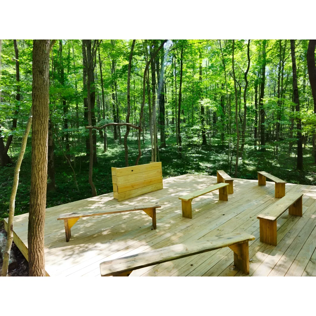 Retreat planning session in a nature lodge