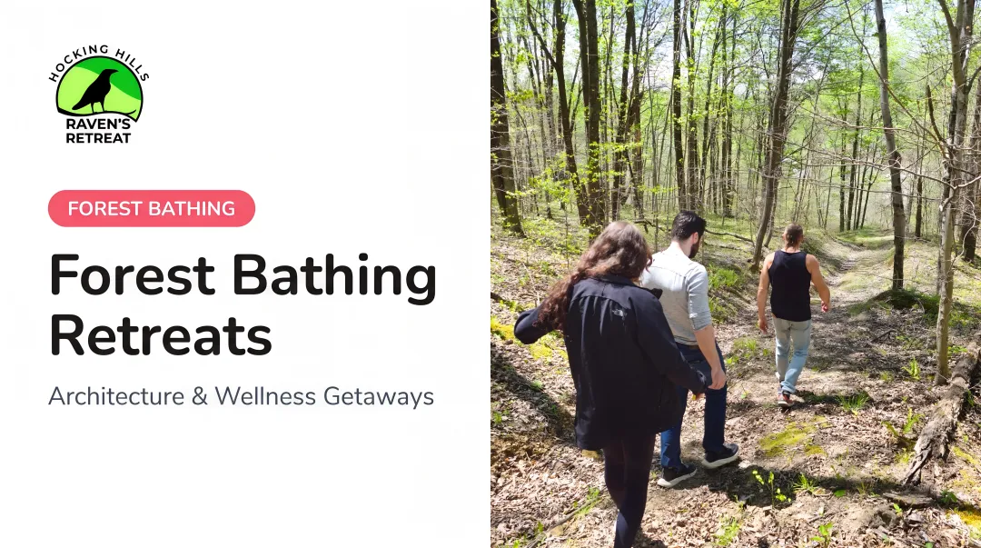Forest Bathing Retreats: Architecture &amp; Wellness Getaways