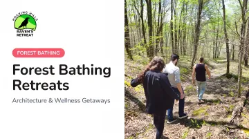 Forest Bathing Retreats: Architecture &amp; Wellness Getaways