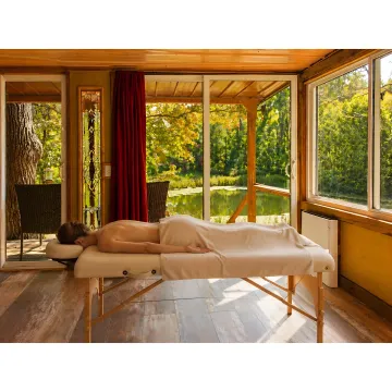 Couples Massage Therapy Services in Chapin, SC