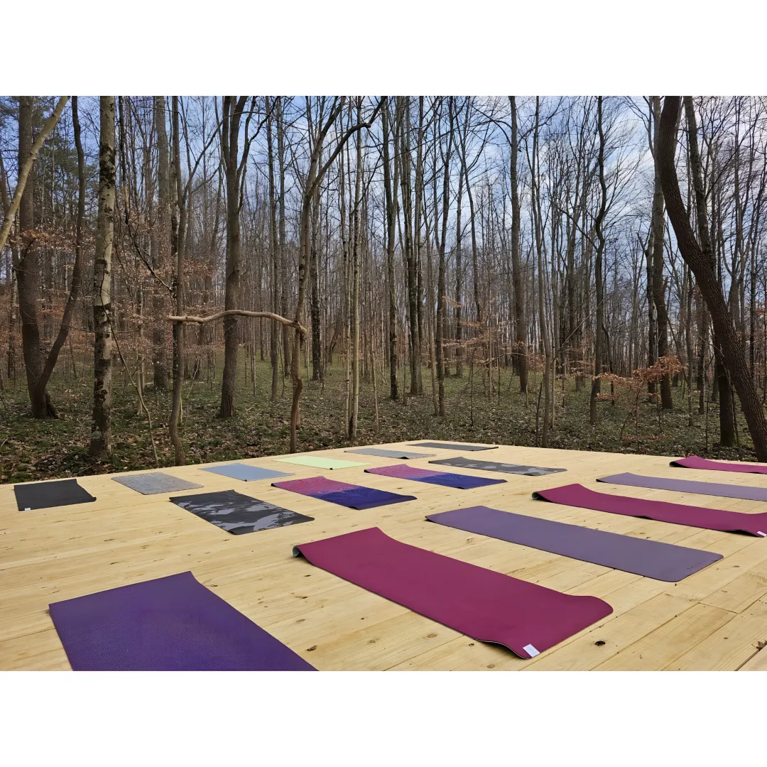 Wellness retreat guests practicing yoga in a forest setting