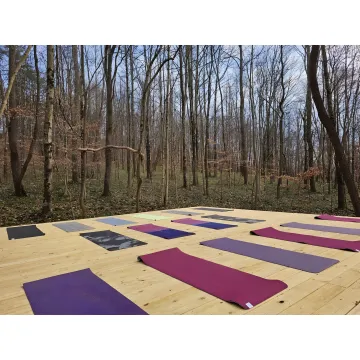 Mind and Body Wellness Retreats — Healing & Detox