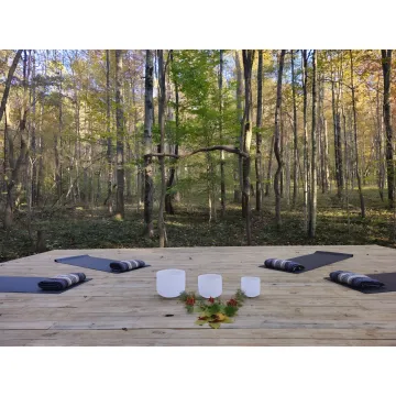 Women gathering for a restorative retreat in the woods