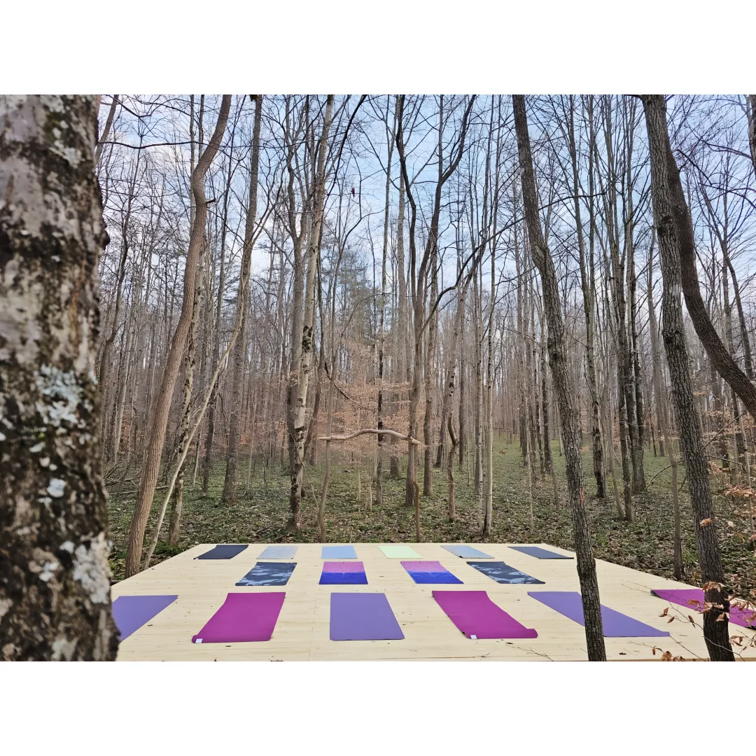 Adults practicing yoga at a peaceful nature retreat