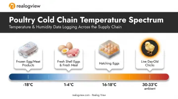 Poultry product temperature range comparison from live chicks to frozen goods