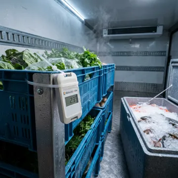 Food & Beverage Cold Chain
