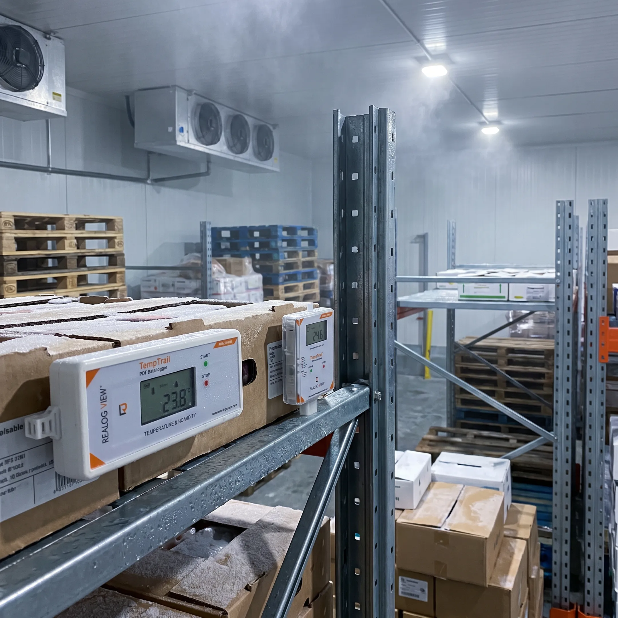 Cold Chain Logistics