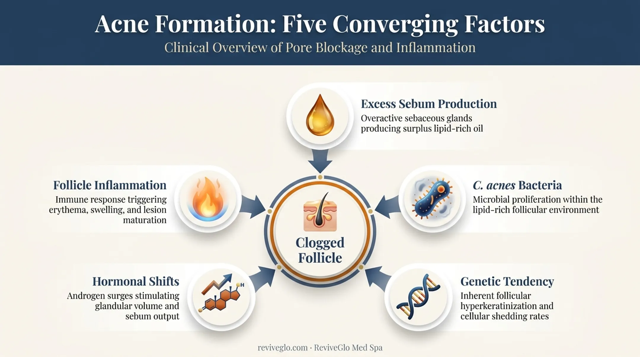 5 key factors that cause back acne breakouts infographic