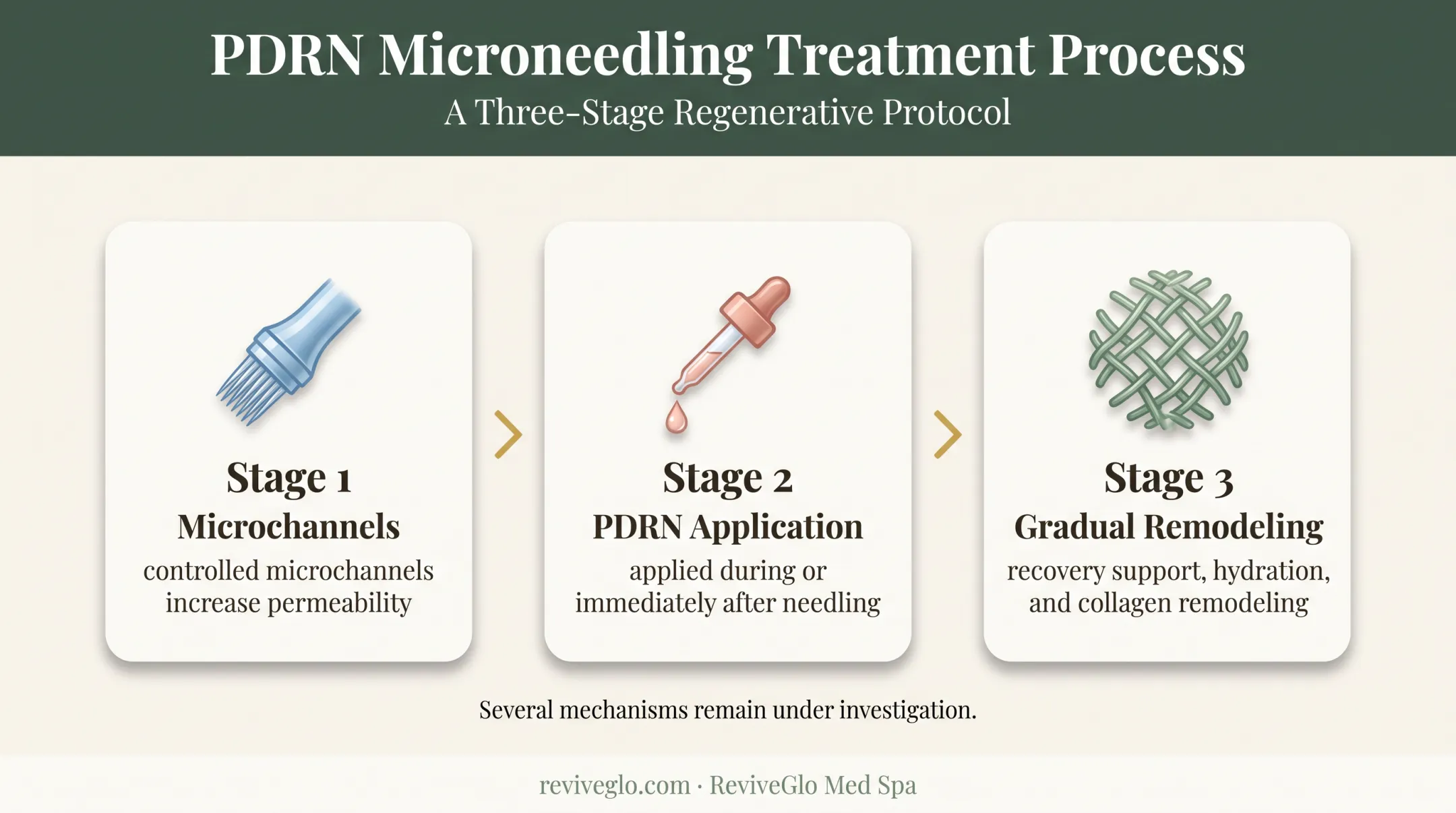 Three-stage PDRN microneedling skin repair mechanism flow diagram