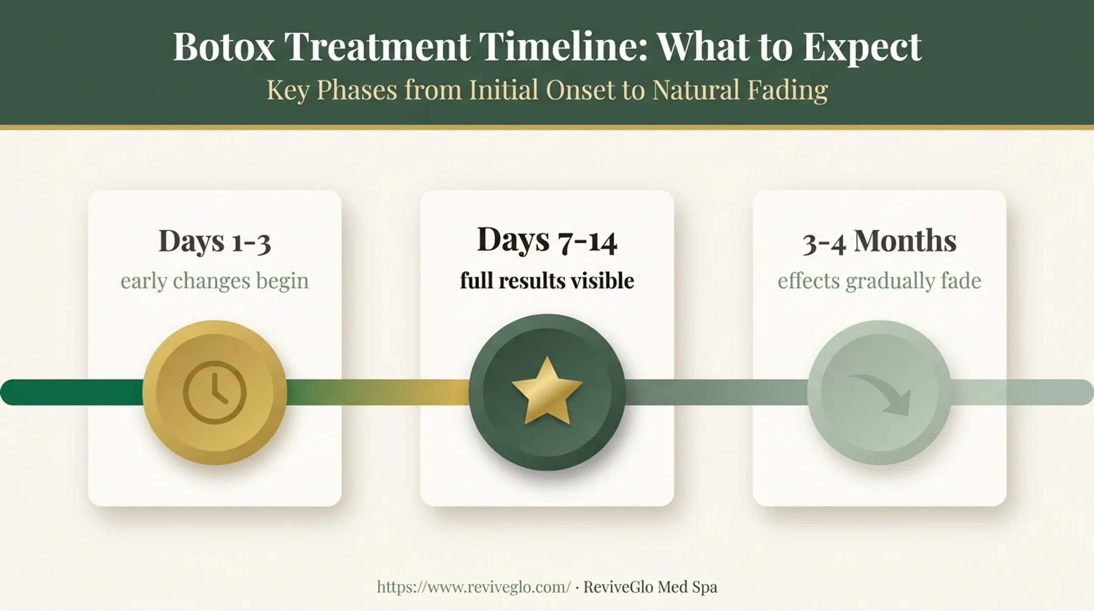Botox results timeline from day one to four months