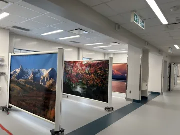 Hospitals & Emergency Departments