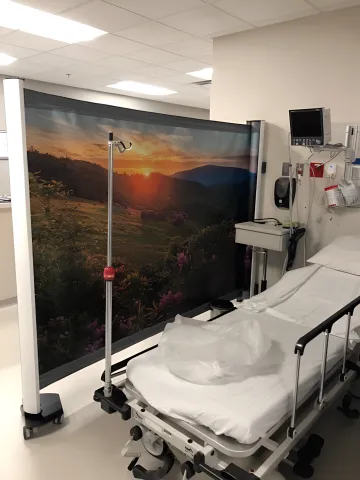 Hospitals & Emergency Departments