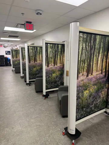 Wall Mounted Rolascreen Elite