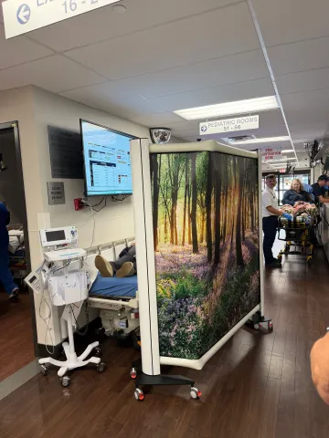 Portable Rolascreen Elite