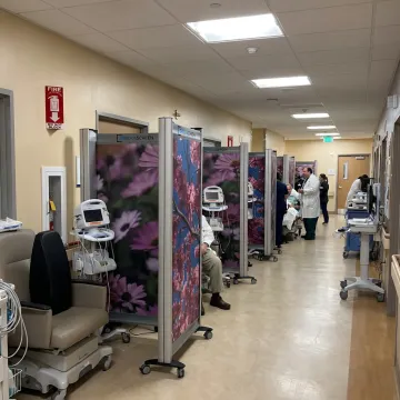 Hospital hallway privacy screens for surge patient care