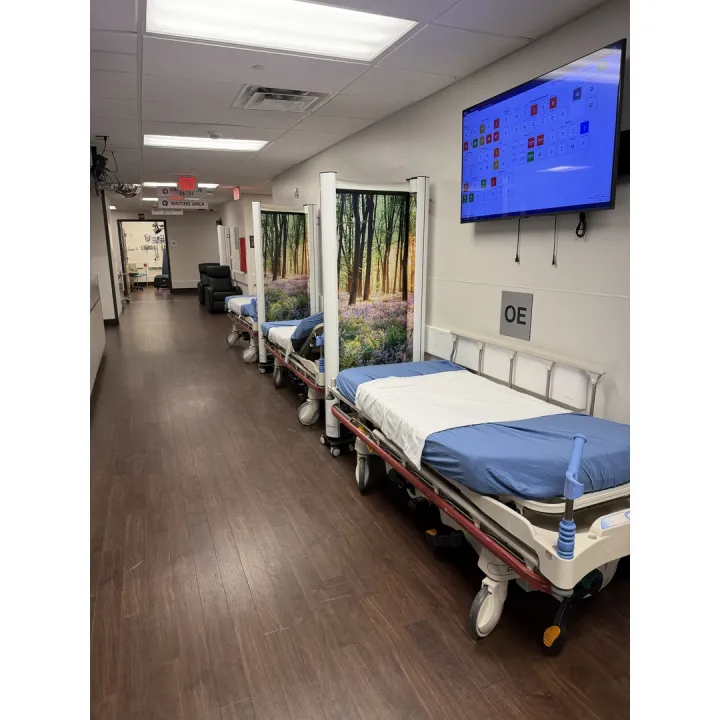 Privacy solutions for hallway patient care incase of a surge
