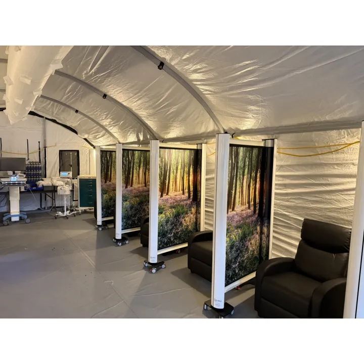 Privacy screens creating hallway patient care bays