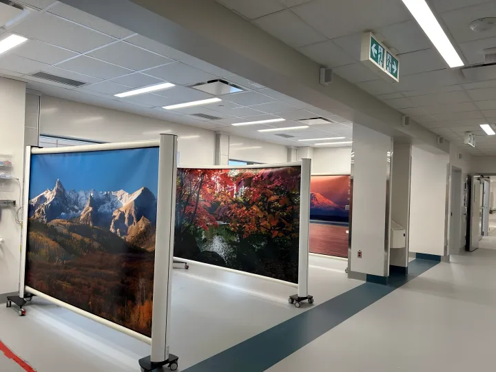 Portable Medical Privacy Screen